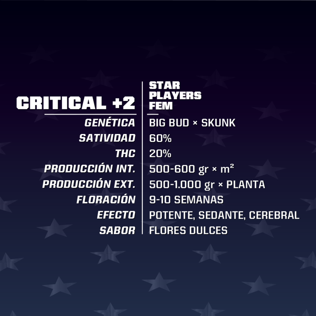 BSF - Critical+2 Fem x4 - Orgánico Grow
